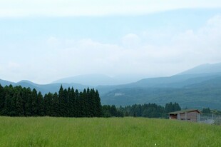 田园绿野间的静谧风光