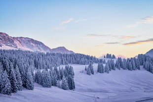 冬日雪覆山林美景