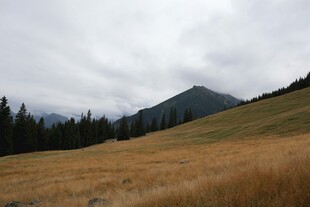 山间草地风景