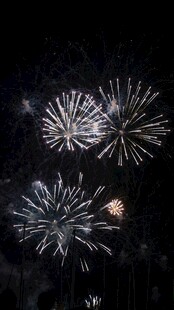 夜空中绚烂的烟花绽放