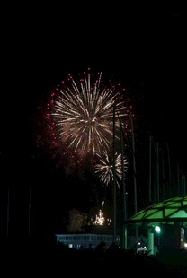 夜空中绚烂绽放的烟花