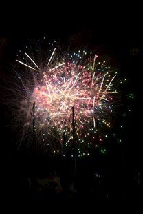 夜空中绚烂的烟花绽放