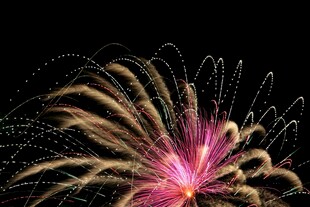 绚丽烟花绽放夜空