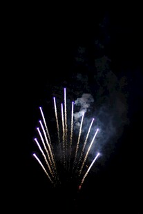 夜空中绽放的绚烂烟花