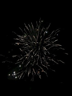夜空中绚烂的烟花绽放