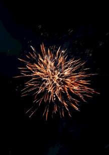 夜空中绚烂绽放的烟花