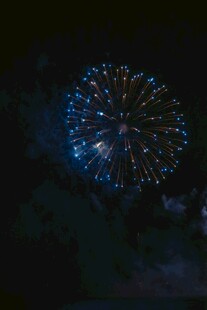 夜空中绽放的绚丽烟花
