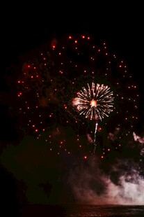 夜空中绚烂绽放的烟花