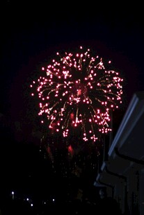 夜空中绚烂绽放的烟花