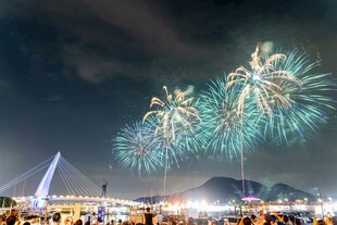城市夜空绚烂烟花绽放