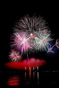 夜空中绚烂绽放的烟花