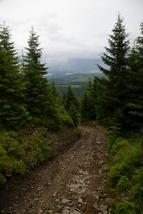 山间小径