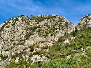 峻峭山峦覆绿植