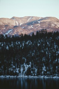 湖畔山林