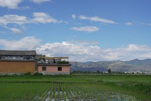 乡村田野风光