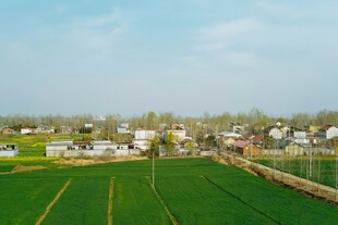 乡村田野风光美景