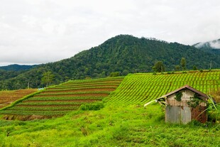田园小屋