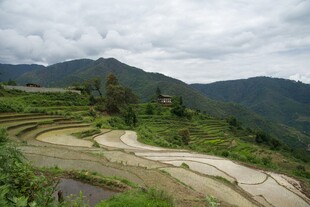 山间梯田美景