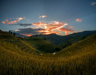 壮美梯田日落美景