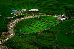 田园风光中的乡村美景