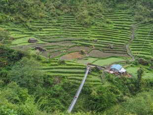 菲律宾壮丽梯田景观