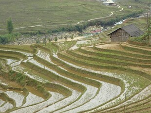 美丽梯田风光