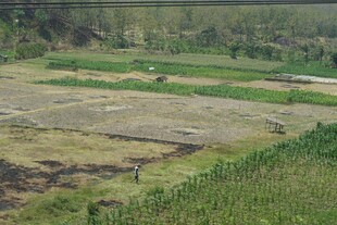 田野风光