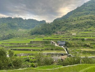 山间梯田美景
