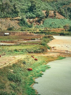 乡村河畔田园风光美景