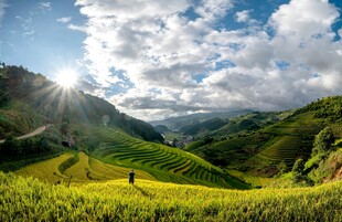 山间绿野