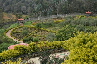 美丽田园风光景观