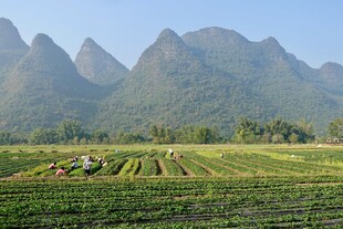 田园山峦美景