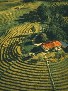 梯田中的红顶小屋