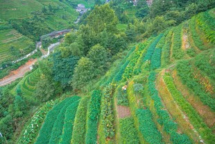 山间多彩梯田美景