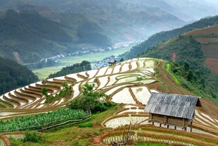 山间梯田小屋的田园风光