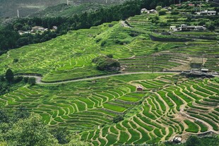 翠绿梯田与山间村落美景