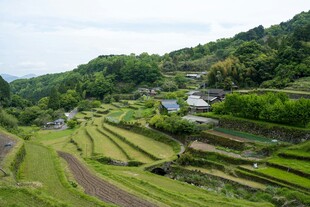 山间梯田美景