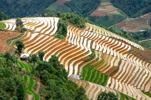 壮观梯田美景