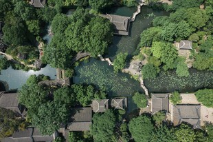 江南水乡绿意盎然俯瞰图
