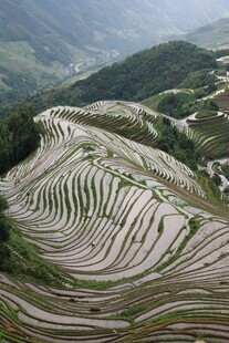 壮观梯田美景