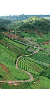 山间蜿蜒公路与翠绿梯田