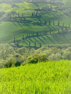 田园绿野风光美景