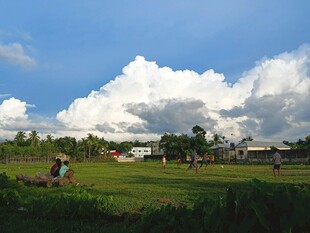 田园风光中的悠闲场景