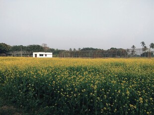 田野中的白色房车