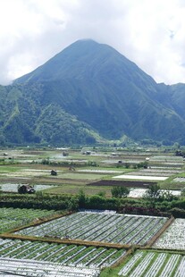 田园山色美景