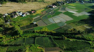 俯瞰田园风光美景