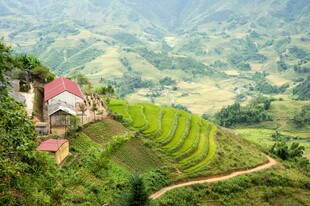 山间梯田旁的红顶小屋