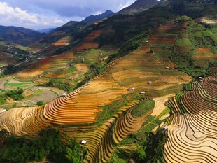 壮丽梯田景观