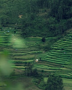 山间梯田美景