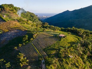 山间田园美景